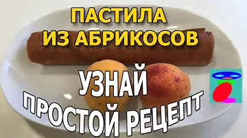 Домашняя пастила из абрикос. Пастила в сушилке.