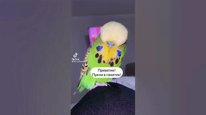 Приветик пукни в пакетик