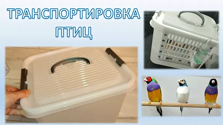 Удобная переноска своими руками