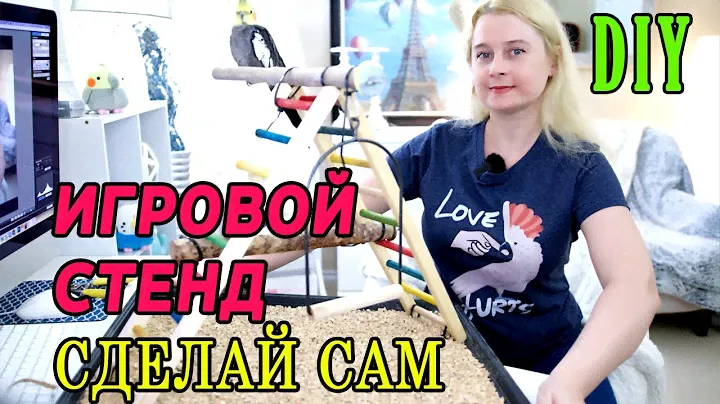 КАК СДЕЛАТЬ ИГРОВОЙ СТЕНД ДЛЯ ПОПУГАЯ СВОИМИ РУКАМИ DIY