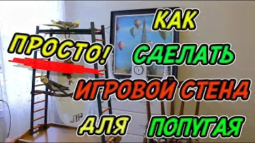 КАК СДЕЛАТЬ ИГРОВОЙ СТЕНД ДЛЯ ПОПУГАЯ СВОИМИ РУКАМИ | ИГРОВАЯ ПЛОЩАДКА ДЛЯ ПОПУГАЕВ