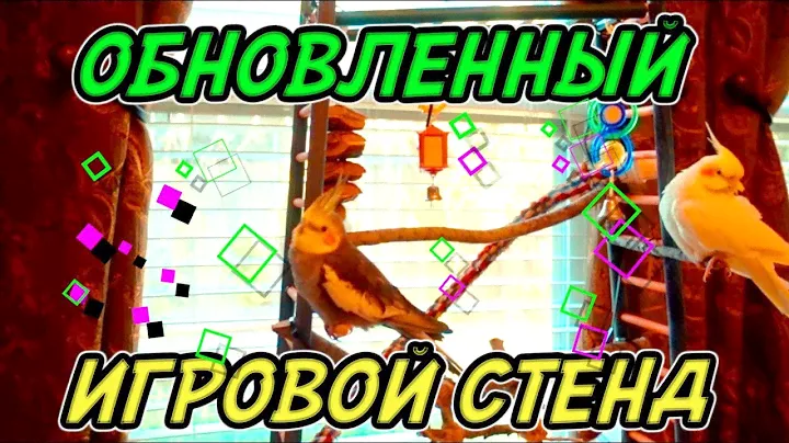 ОБНОВЛЕННАЯ ИГРОВАЯ ПЛОЩАДКА /  ИГРОВОЙ СТЕНД ДЛЯ ПОПУГАЕВ СВОИМИ РУКАМИ