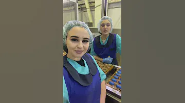 Работа вахтой. Объект шоколадная фабрика. Отзывы наших сотрудников об объекте и компании.
