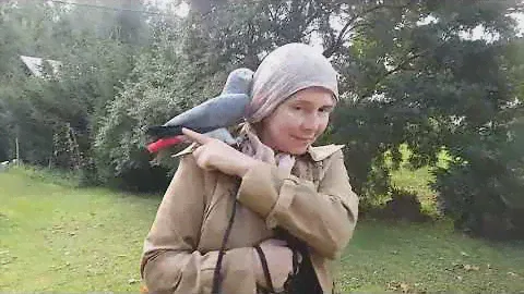 Попугаи Жако. Прогулки с Жако