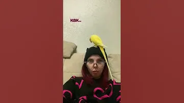 ГОВОРЯЩИЙ ПОПУГАЙ 😳 ОБИДЕЛ МЕНЯ..