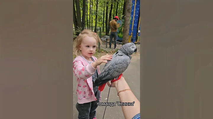 Команда "Спинка". Радуем детей и отрабатываем команду) #жако #дрессировка #Социализация #попугай