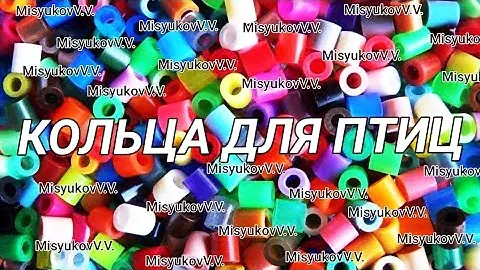 Кольцевание птиц