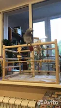 Игровой стенд для попугаев жако