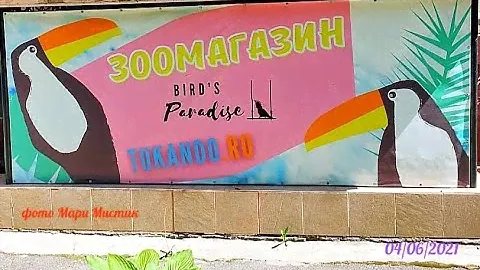 #TUKANDO питомник / ЗООМАГАЗИН tuKando Cанкт - Петербург ПТИЦЫ #ПОПУГАИ / Обзор от Мари Мистик отзыв