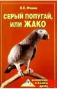 Серый попугай, или жако