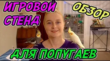 НОВАЯ ИГРОВАЯ ПЛОЩАДКА ДЛЯ ПОПУГАЕВ | РАСПАКОВКА ПОСЫЛКИ | ИГРОВОЙ СТЕНД