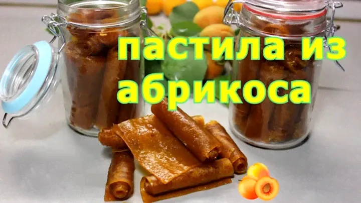 Пастила фруктовая. Абрикосовая. Как приготовить дома. Рецепт.Apricot marshmallow recipe
