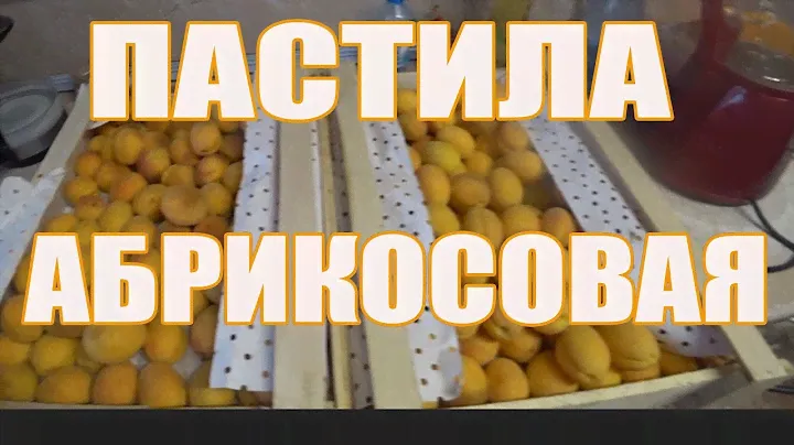 Пастила абрикосовая, живая, без добавления сахара, без варки ягод.