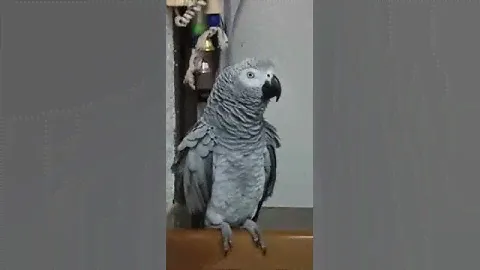Коротко и по делу!