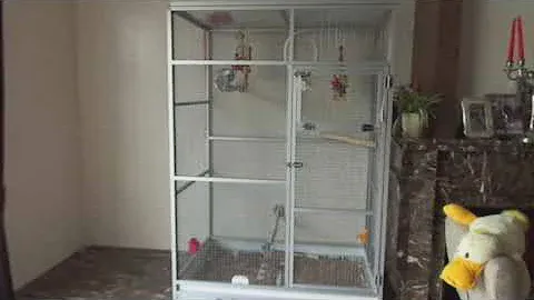 Клетка для попугая Жако размером 1,7 х 1,2 х 0,8 м.